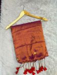 TISSUE SEQUINS SAREE